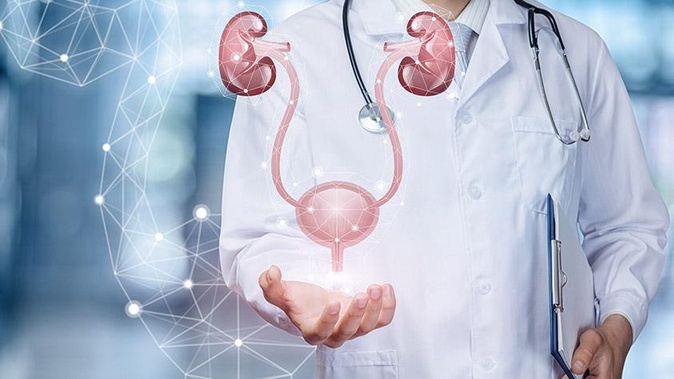 Urologia