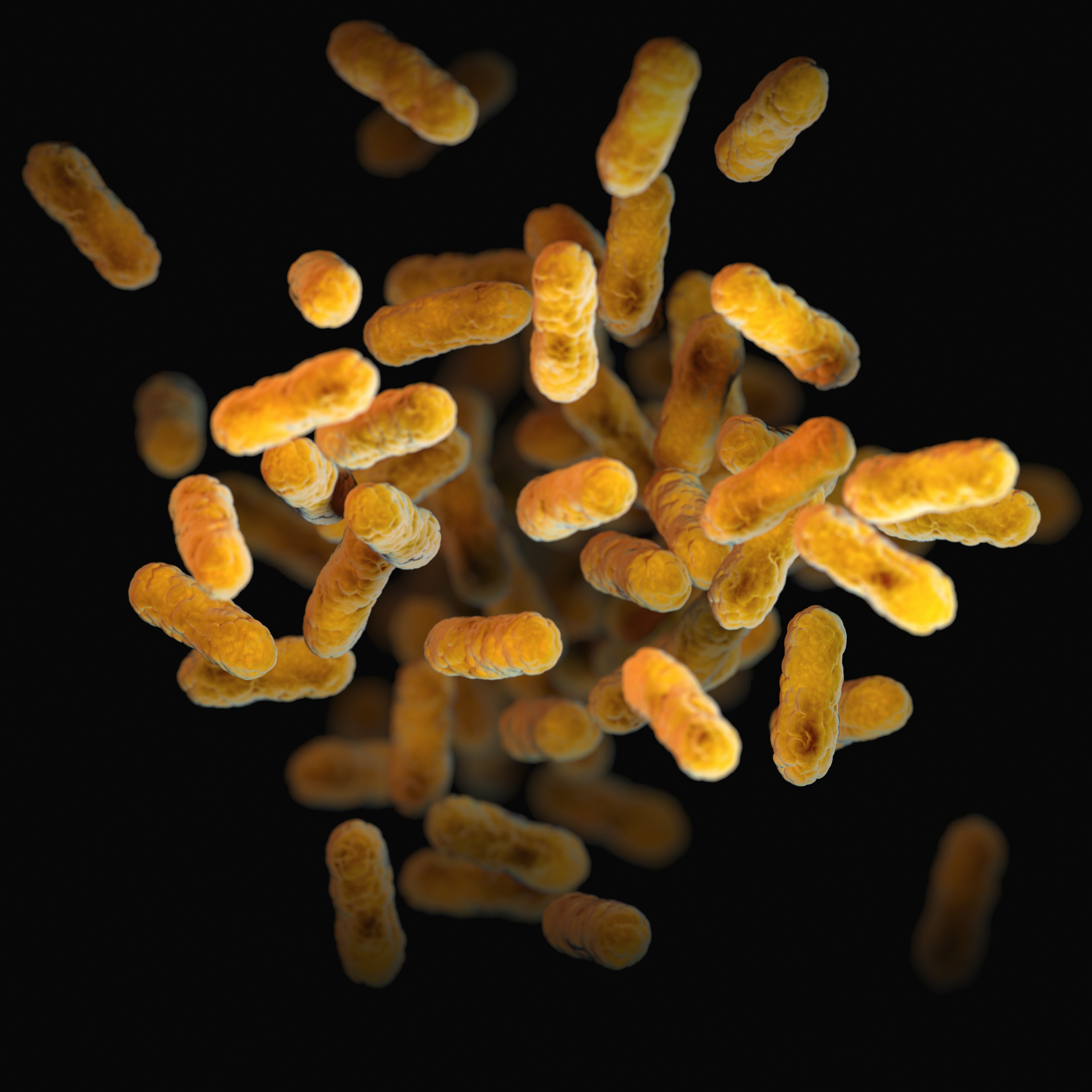 Microbiologia